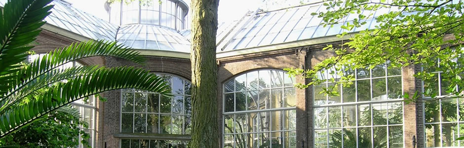 Hortus Botanicus